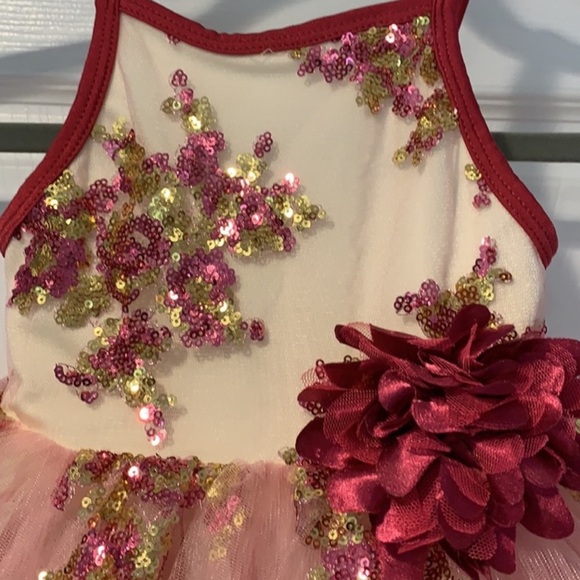 Curtain Call Costumes- "Sugar and Spice" Tutu- XSC - Picture 6 of 11